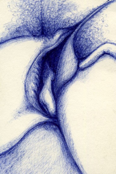 erotic-blue-pen-drawing-04