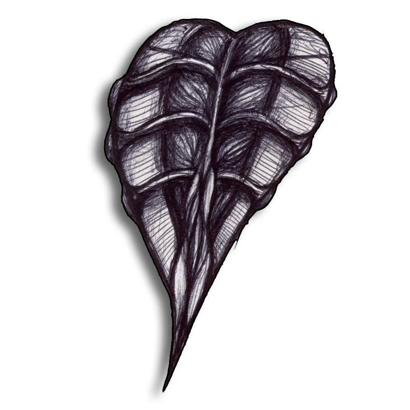 leaf-black-2014-02-14
