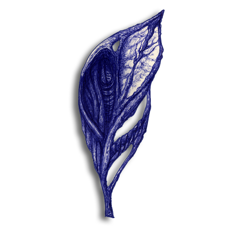 leaf-blue-2014-03-01