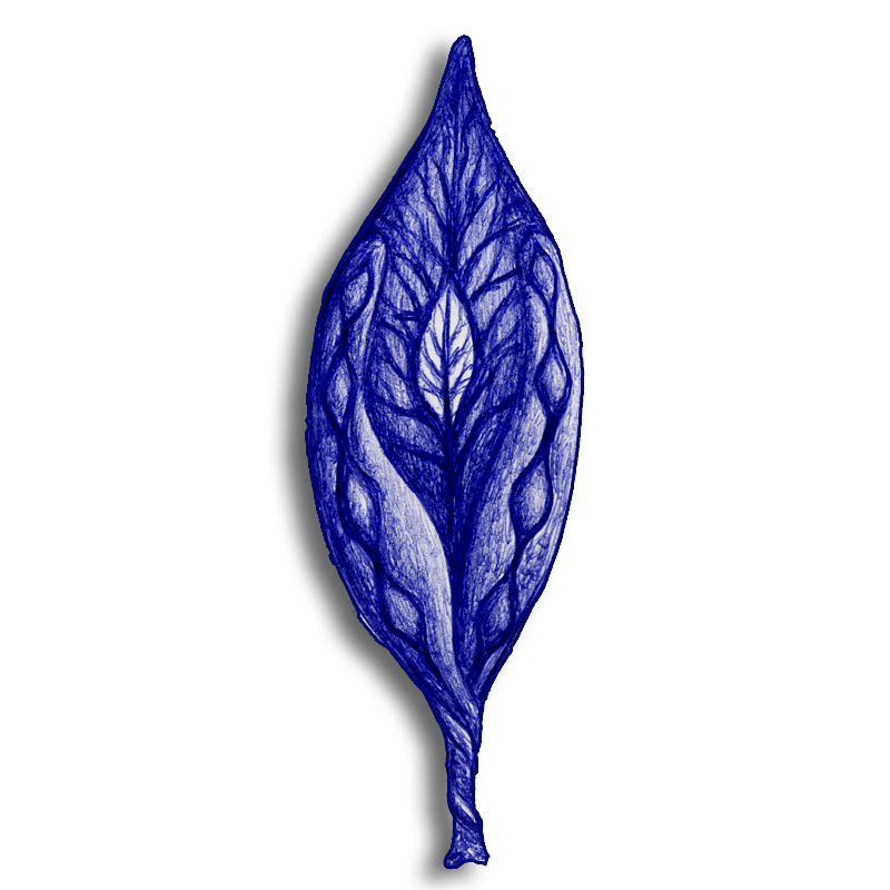 leaf-blue-2014-03-08-c
