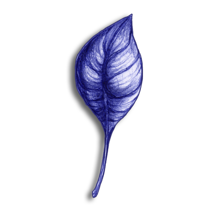 leaf-blue-2014-03-26-d
