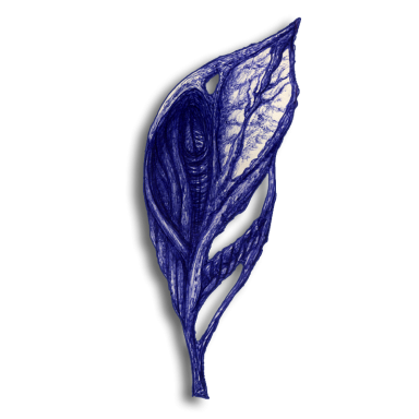 leaf blue 2014 03 01
