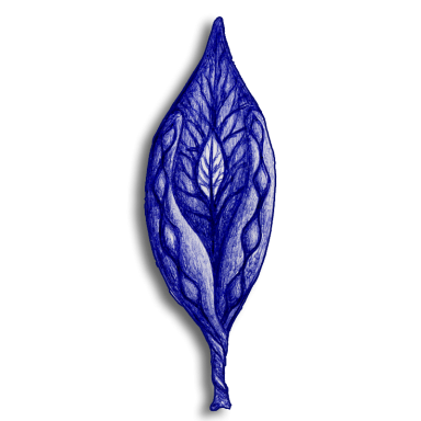 leaf blue 2014 03 08 c